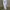 Men's EPTM Peak Pants
