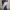 Men's EPTM Innie Track Pants