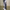 Men's EPTM Innie Track Pants