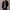 Men's CK MA-1 Nylon Bomber Jacket