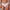 CK Icon Cotton Modal Thong